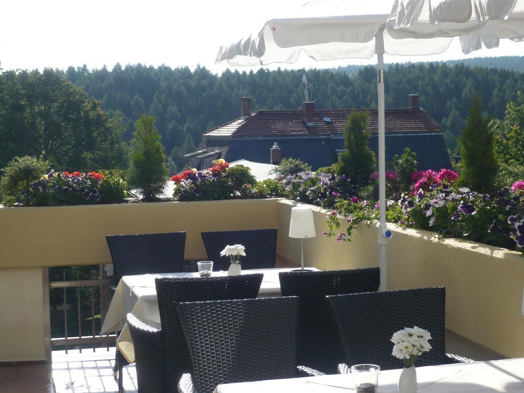 Hotel Falkenstein Falkenstein  エクステリア 写真